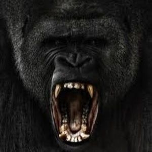 Meet your Posher, Jude